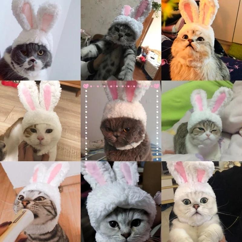 RabbitHat™ - Accessoire de déguisement pour chat - Doux Minous