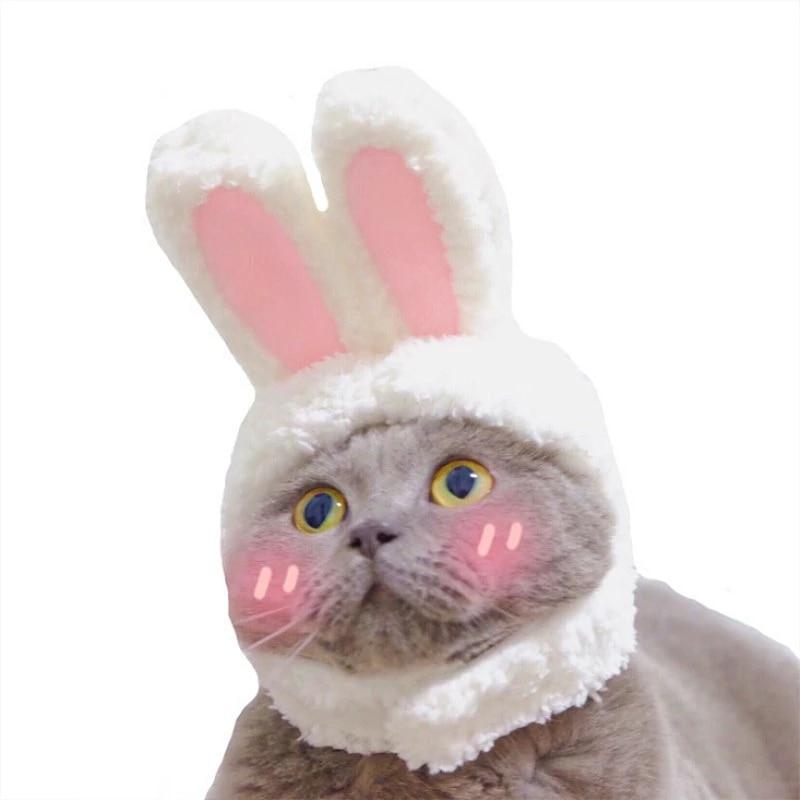 RabbitHat™ - Accessoire de déguisement pour chat - Doux Minous