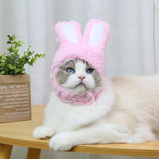 RabbitHat™ - Accessoire de déguisement pour chat - Doux Minous